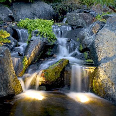 Aquascape 1-Watt LED Pond & Landscape Spotlight - 6 Pack - Ponds Online