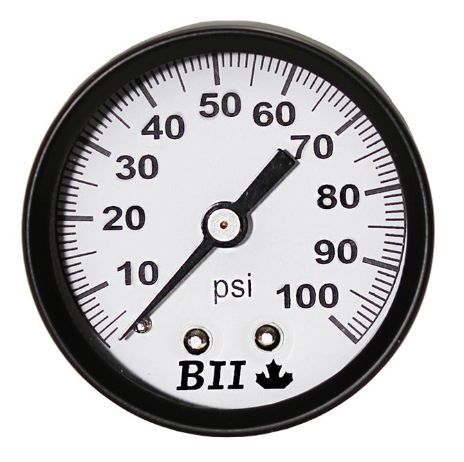 Boshart Pressure Gauge Dry 1/4x100 Back Mt