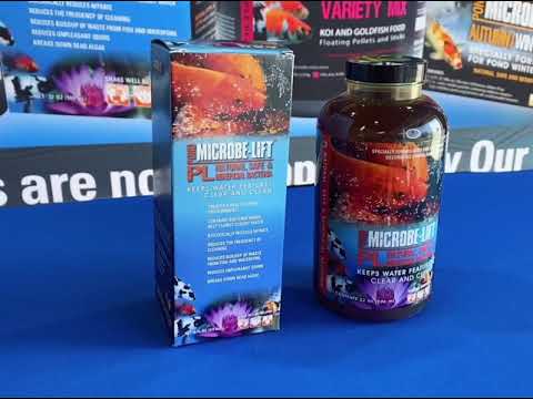 Microbe-Lift PL Live Bacteria - 5 Gallons - Ponds Online