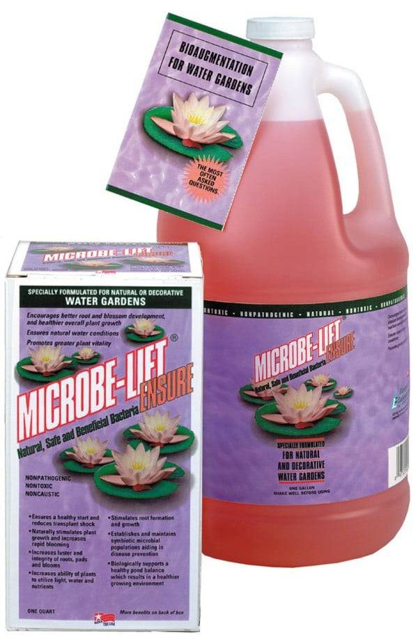 Microbe-Lift Ensure - 1 Quart 