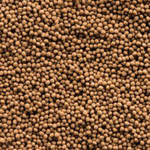 Sera Koi Royal Mini Detail