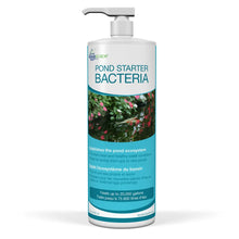 Aquascape Pond Starter Bacteria - 32oz / 946ml