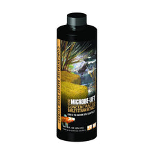 Microbe-lift Concentrated Barley Straw Extract