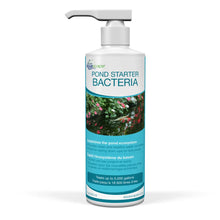 Aquascape Pond Starter Bacteria 8oz bottle, probiotic for pond water health and clear aquatic environments