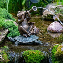 Aquascape Jazz Frog Spitter decorative feature with frog sculpture and water spout, ideal for pond or water garden decor