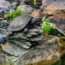 Aquascape turtle decorative feature on a log spitter for pond or aquarium decor, realistic aquatic turtle sculpture on driftwood