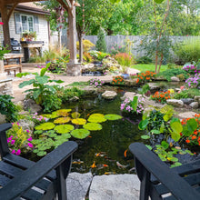 Aquascape Medium Pond Kit 11' x 16' With Aquasurge 2000-4000 Pond Pump