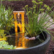 Aquascape Patio Pond - Green Slate - With Plants, Bamboo Fountain and Light