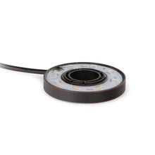Atlantic Warm White Ring Light- 5 Watt - Ponds Online