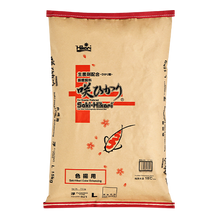 Hikari SAKI-HIKARI COLOR large fish pellet, 33lb (15kg), showing vibrant pellet size and packaging for aquarium feeding.