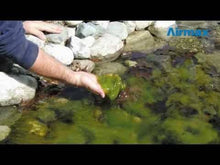 CrystalClear D-Solv - 25 lbs. - Ponds Online