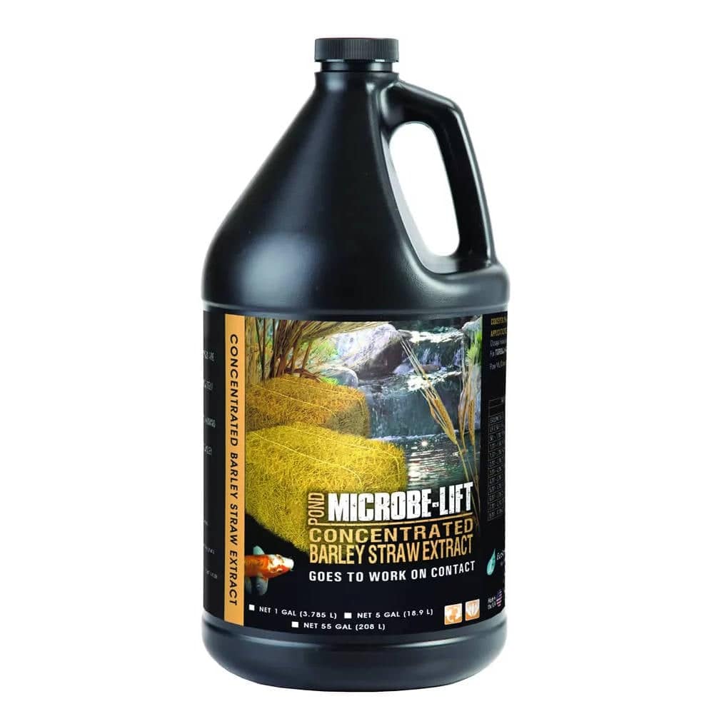 Microbe-Lift Barley Extract gallon bottle, concentrated natural barley straw extract for aquatic or gardening use.