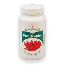 Plantabbs Pondtabbs aquatic plant food tablets for healthy pond and aquatic plants, 60 tabs in a container.