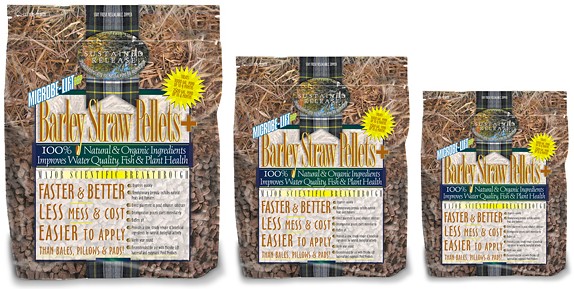 Barley Products