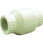 Threaded Check Valve - 2" FPT x 2" FPT